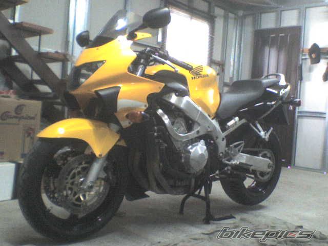 1999 HONDA CBR 600 | Picture 1275852 motorcycle photo