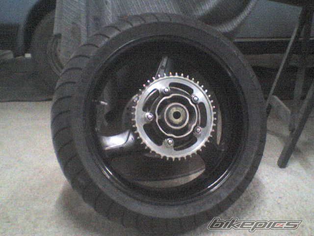1999 HONDA CBR 600 | Picture 1275857 motorcycle photo