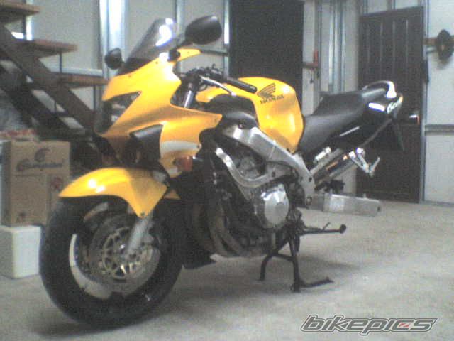 1999 HONDA CBR 600 | Picture 1275869 motorcycle photo