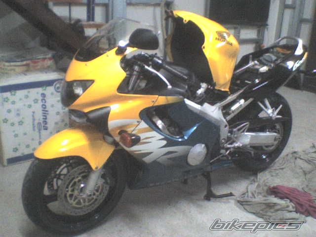 1999 HONDA CBR 600 | Picture 1275874 motorcycle photo