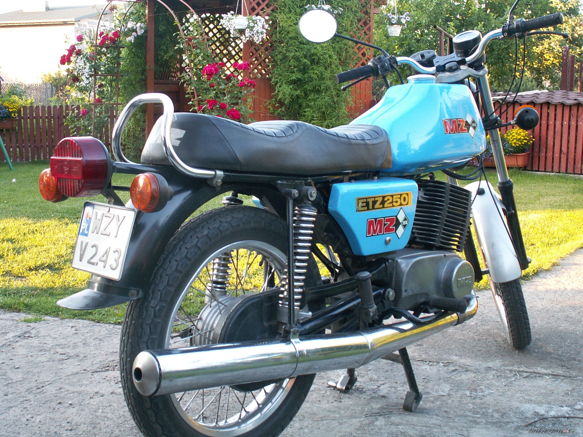 1984 MZ ETZ 250 | Picture 1276079 motorcycle photo