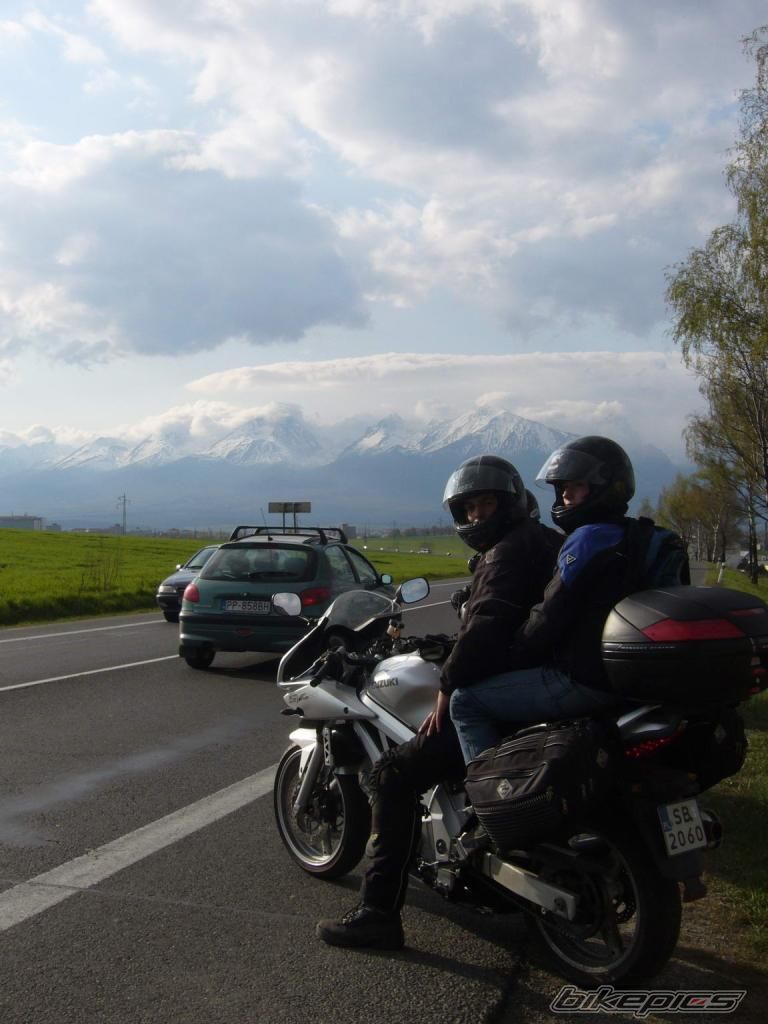 2004 SUZUKI SV 650S | Picture 1276199 motorcycle photo