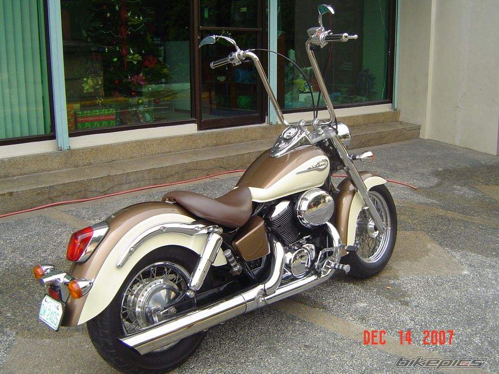 1998 HONDA SHADOW ACE 400 | Picture 1276341 motorcycle photo