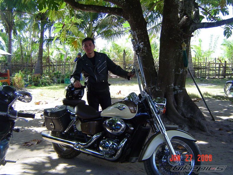 1998 HONDA SHADOW ACE 400 | Picture 1276355 motorcycle photo