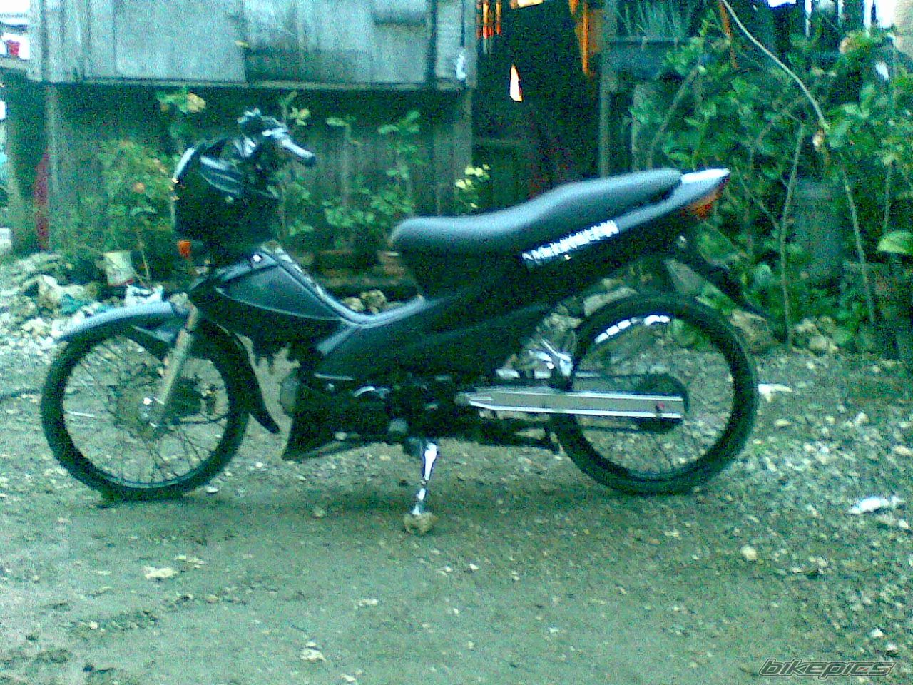 2008 HONDA WAVE ALPHA 100 | Picture 1276454 motorcycle photo