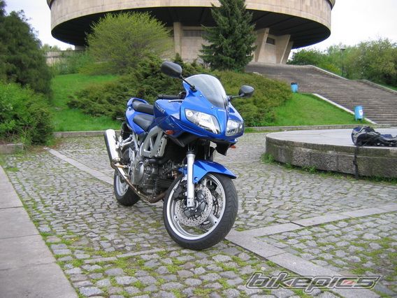 2003 SUZUKI SV 650S | Picture 1276689 motorcycle photo