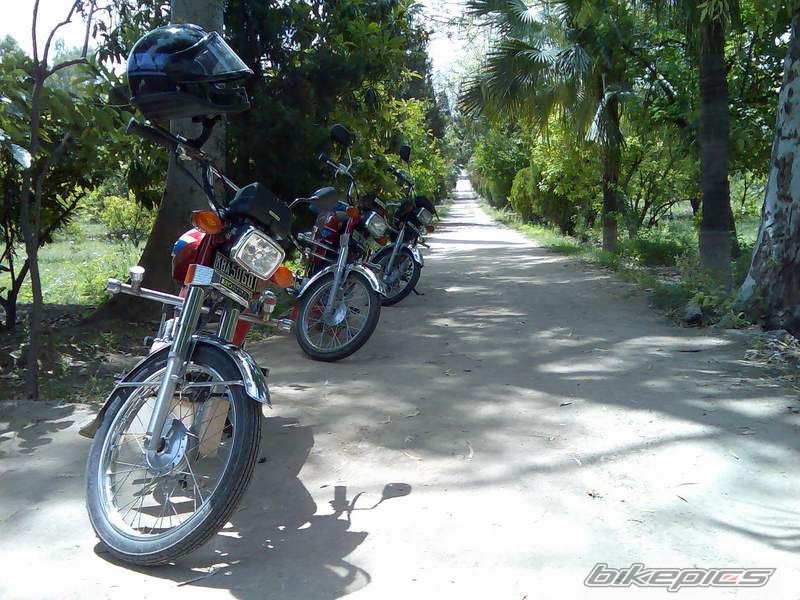 2003 HONDA CG 125 | Picture 1276716 motorcycle photo