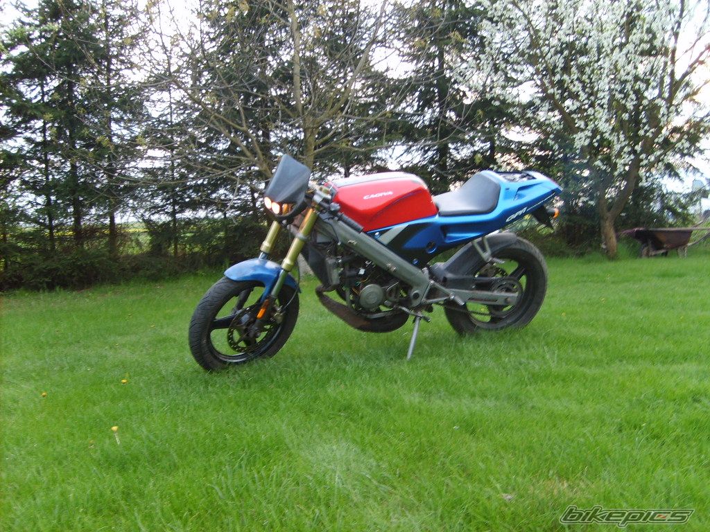 2001 DERBI GPR 50 RACING | Picture 1276730 motorcycle photo