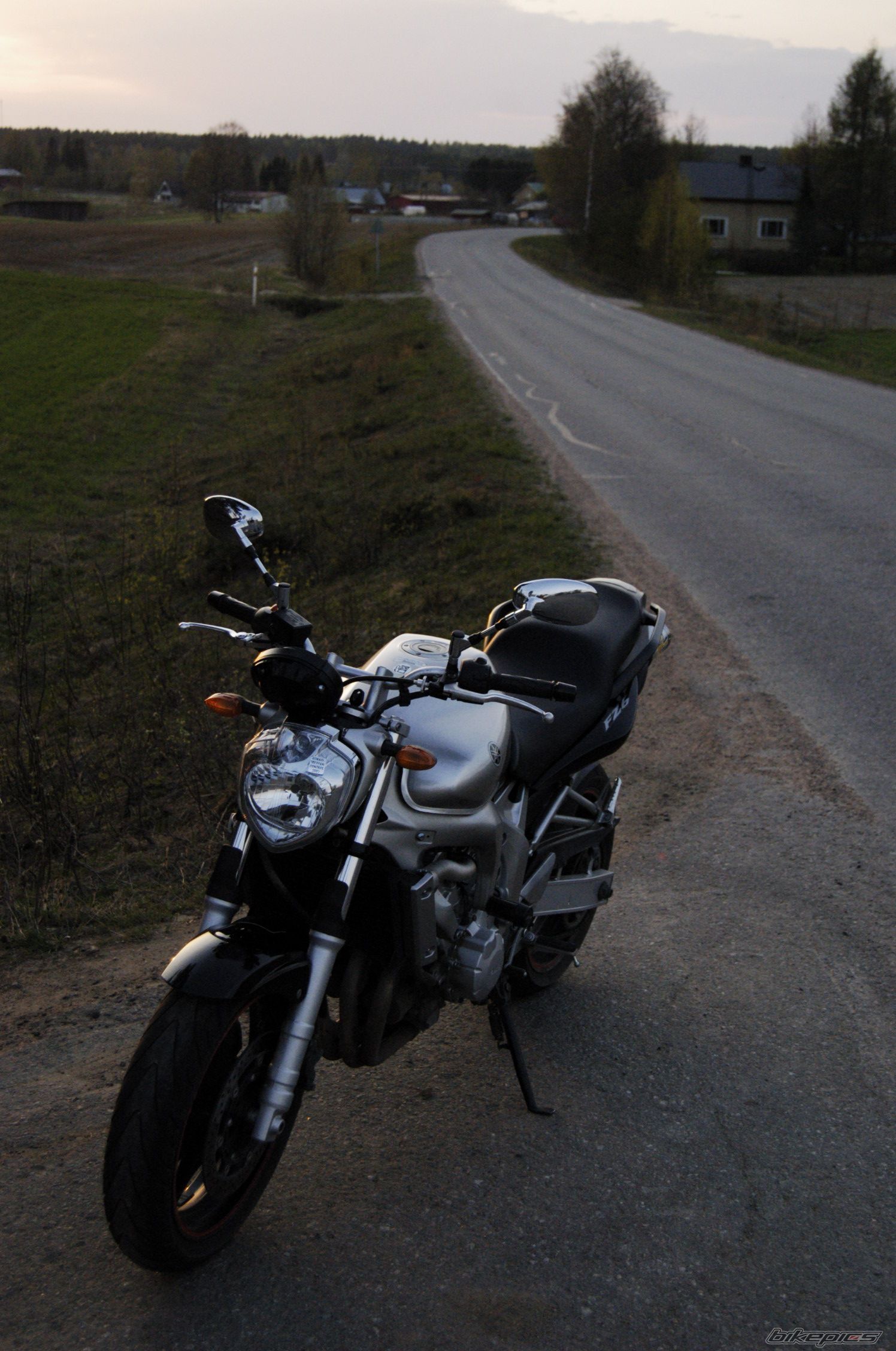 2004 YAMAHA FZ6N | Picture 1276755 motorcycle photo