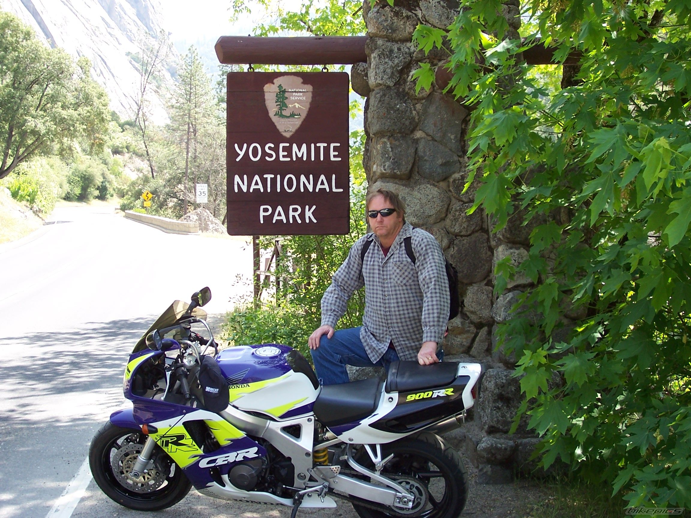 1995 HONDA CBR 900 | Picture 1276903 motorcycle photo