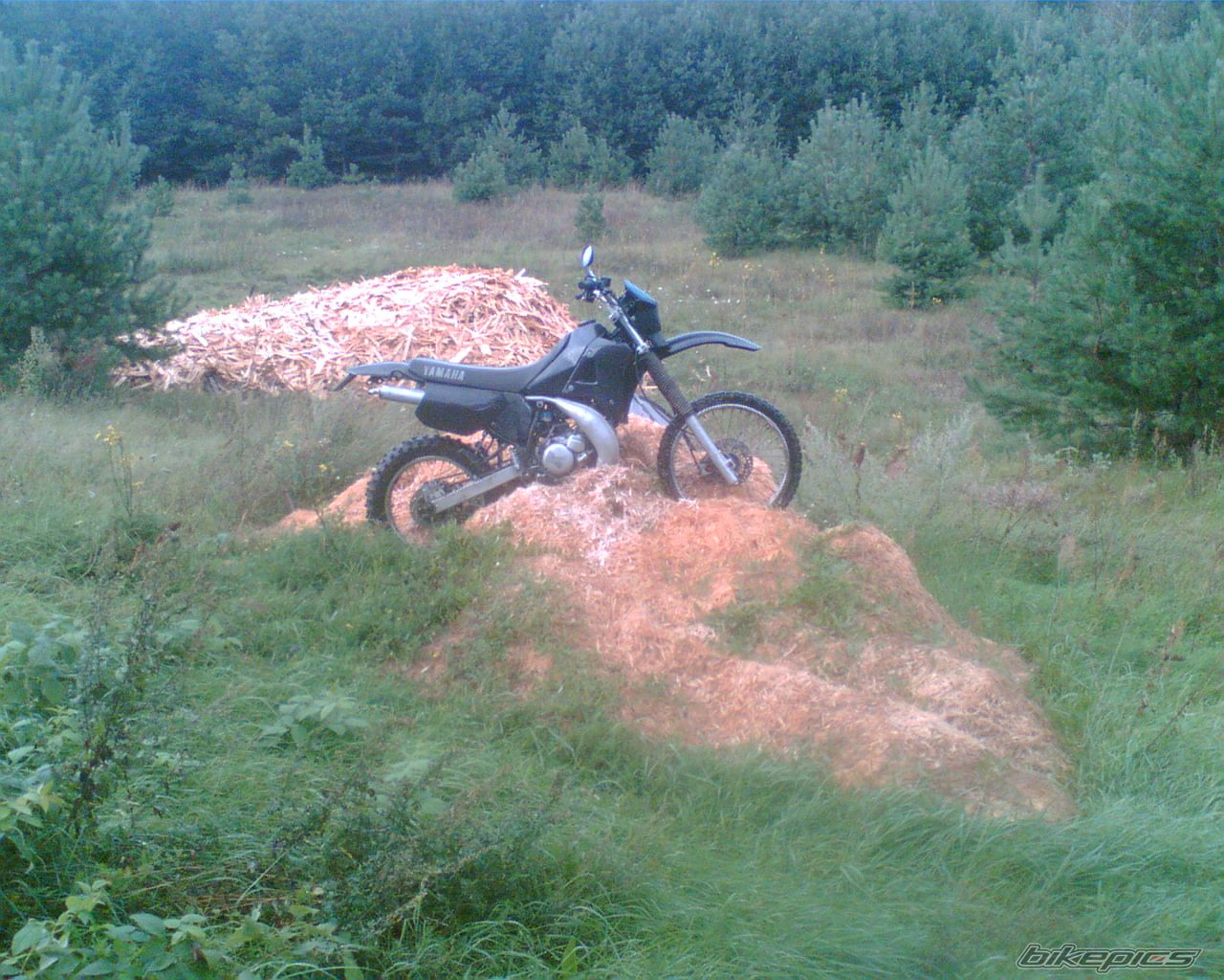 1999 YAMAHA DT 125 | Picture 1277027 motorcycle photo