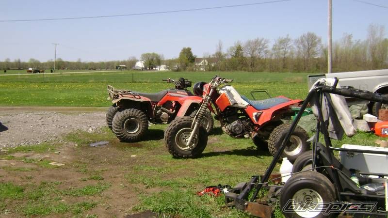 1986 HONDA ATC 350 | Picture 1277461 motorcycle photo