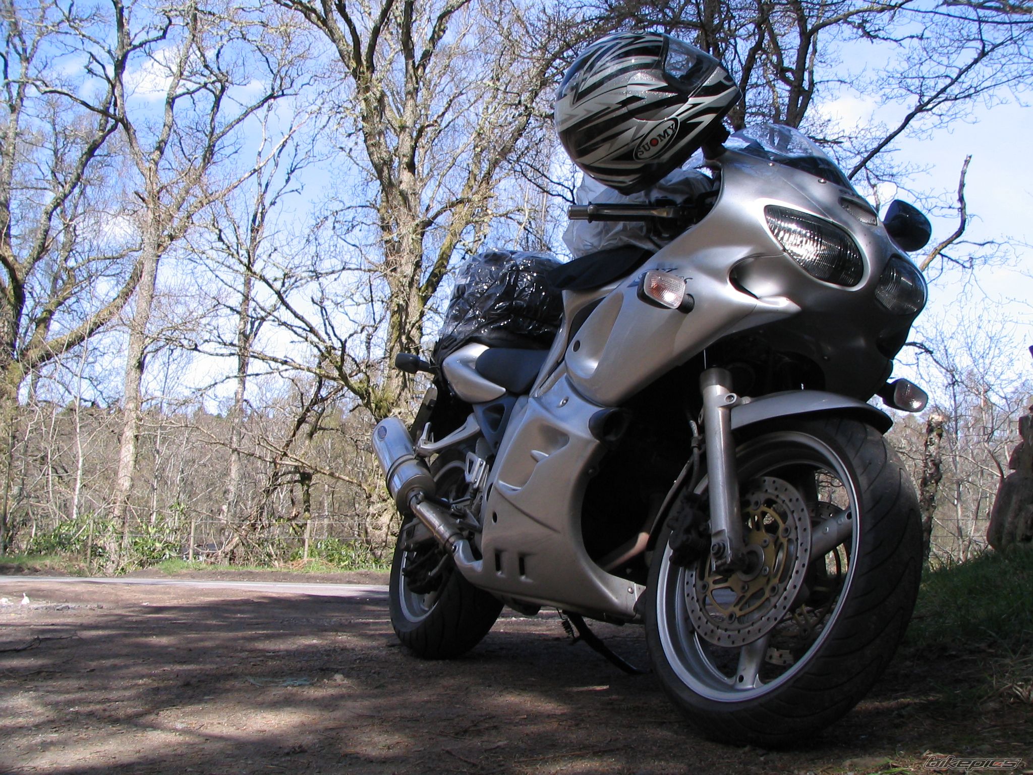 2002 SUZUKI SV 650S | Picture 1277982 motorcycle photo
