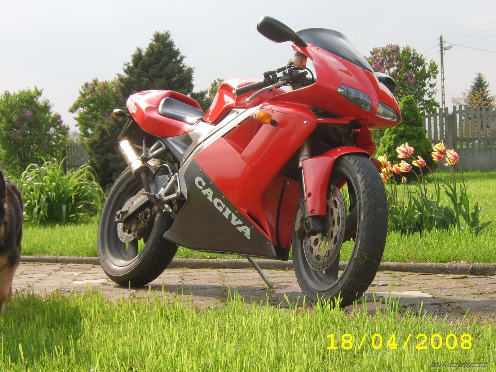 1995 CAGIVA MITO 125 | Picture 1277985 motorcycle photo
