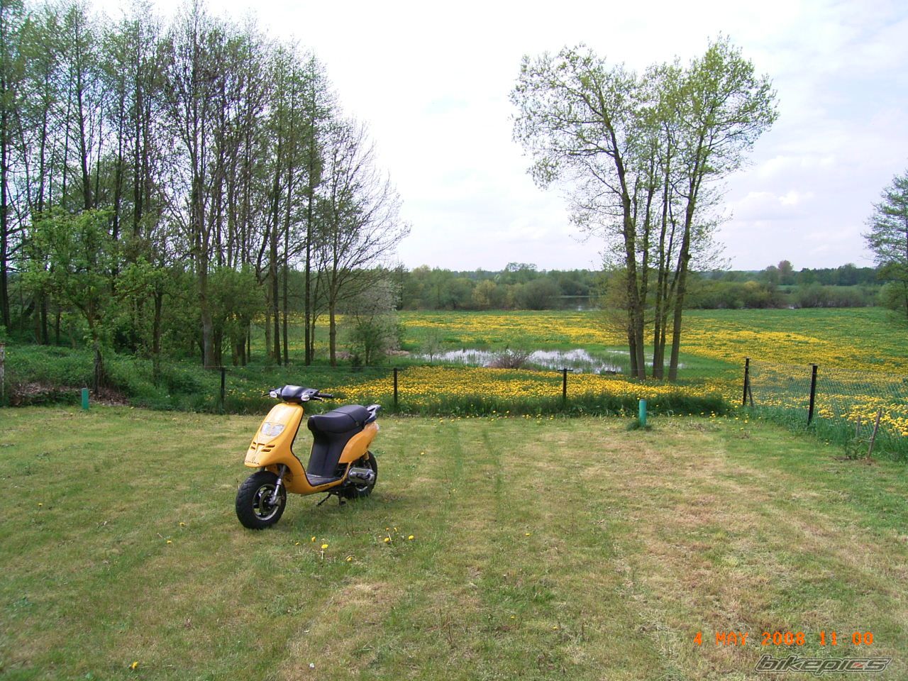 1996 PIAGGIO TYPHOON 50 | Picture 1277990 motorcycle photo