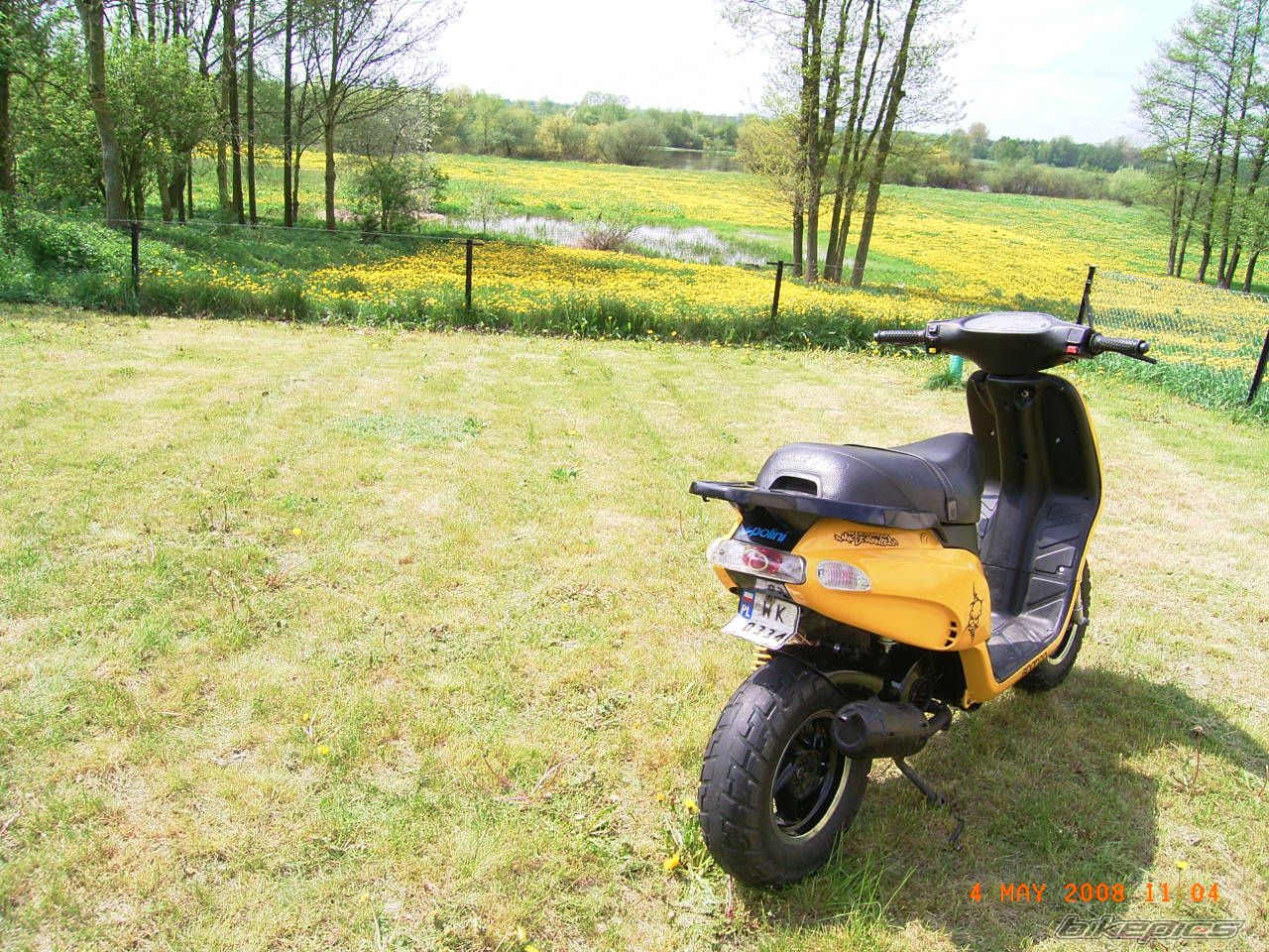 1996 PIAGGIO TYPHOON 50 | Picture 1279442 motorcycle photo