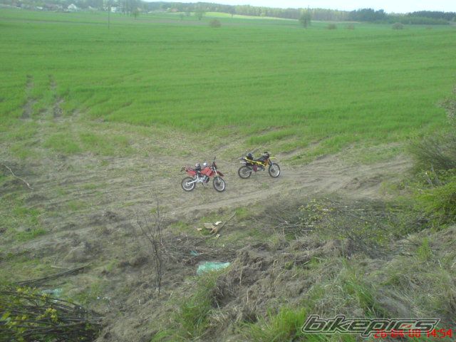 2004 RIEJU RR 50 | Picture 1279534 motorcycle photo