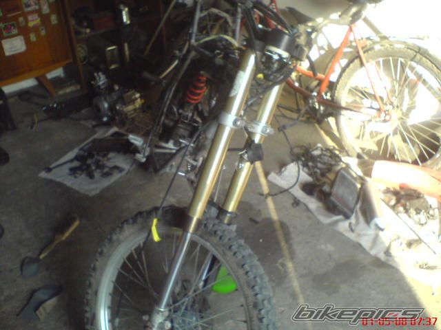 2004 RIEJU RR 50 | Picture 1279540 motorcycle photo