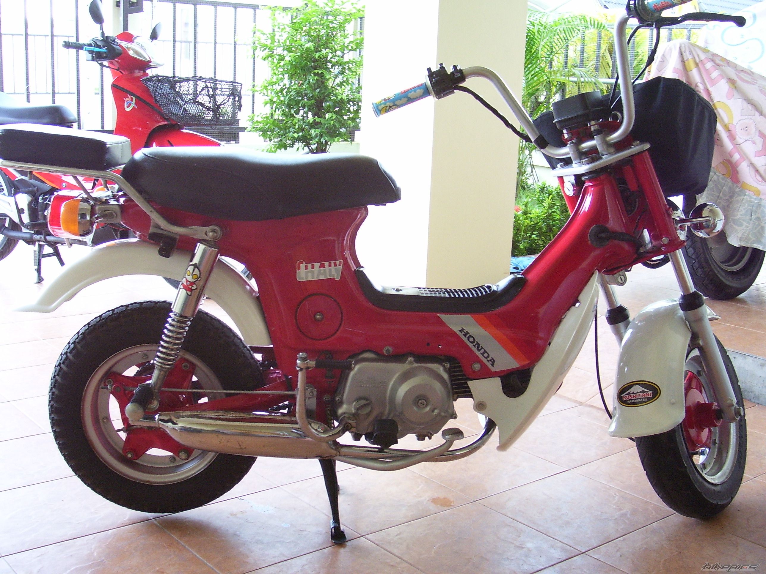 2007 HONDA CHALY | Picture 1280209 motorcycle photo