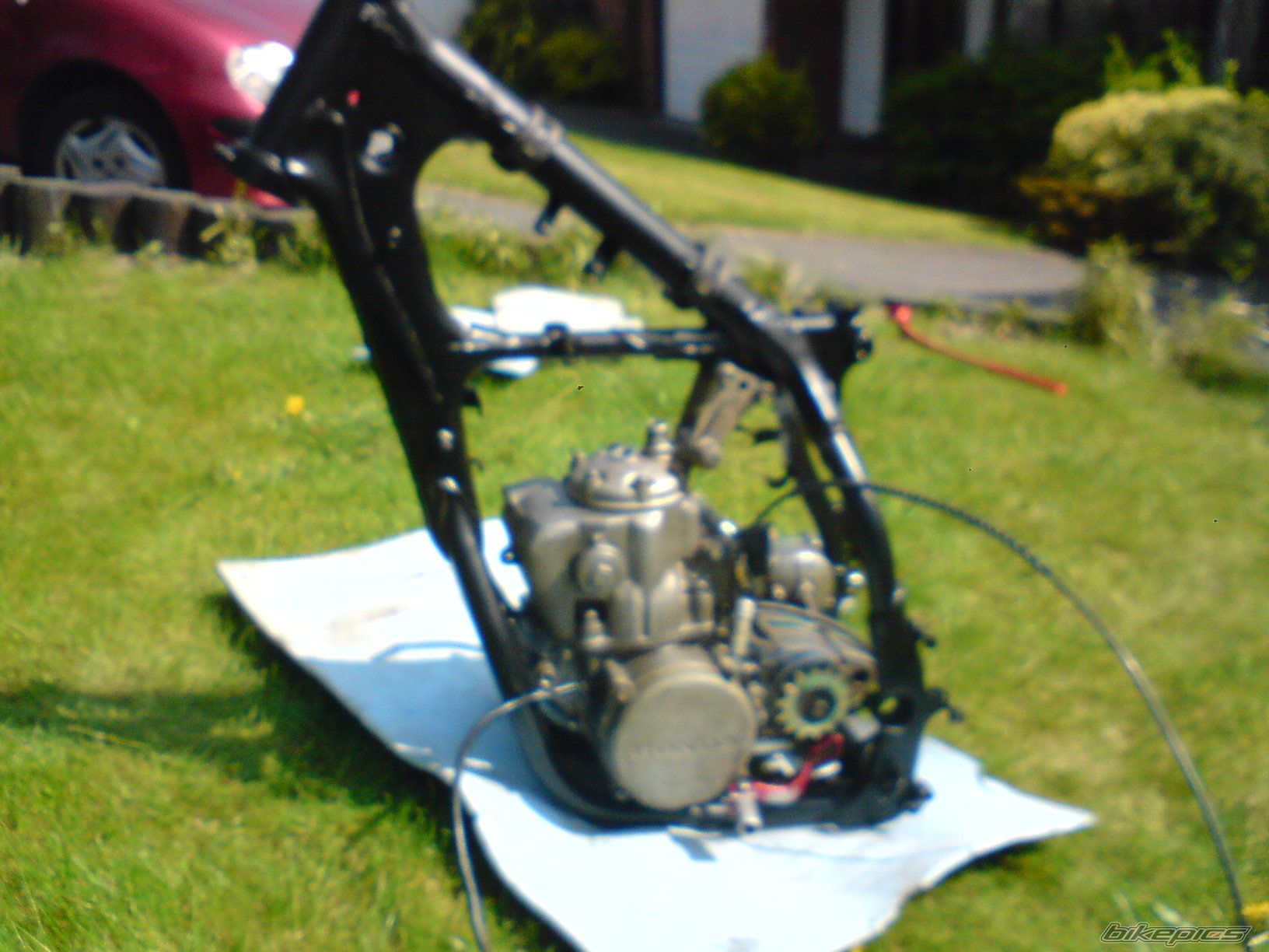 1996 HONDA CR 250 | Picture 1280997 motorcycle photo