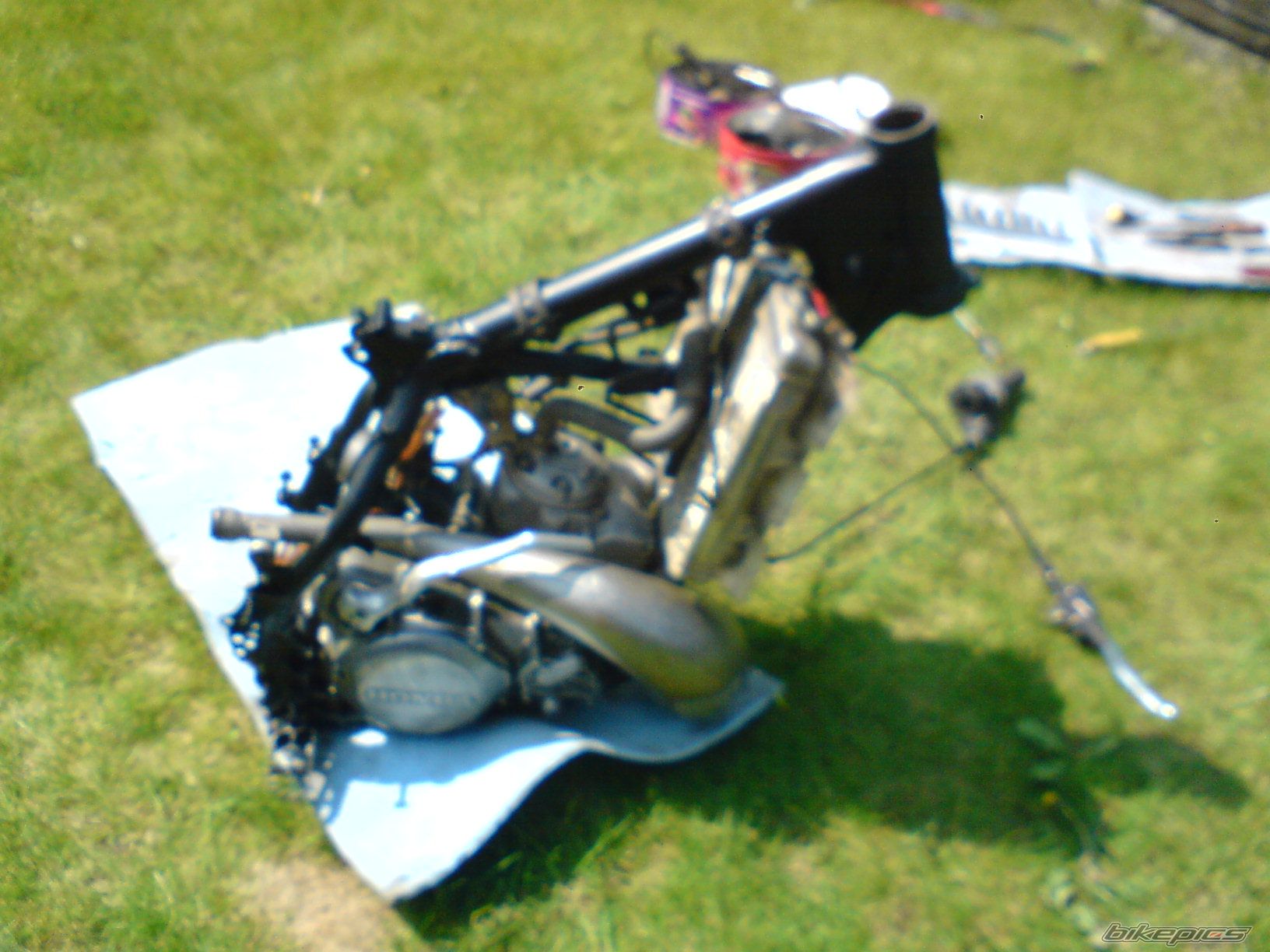 1996 HONDA CR 250 | Picture 1281004 motorcycle photo