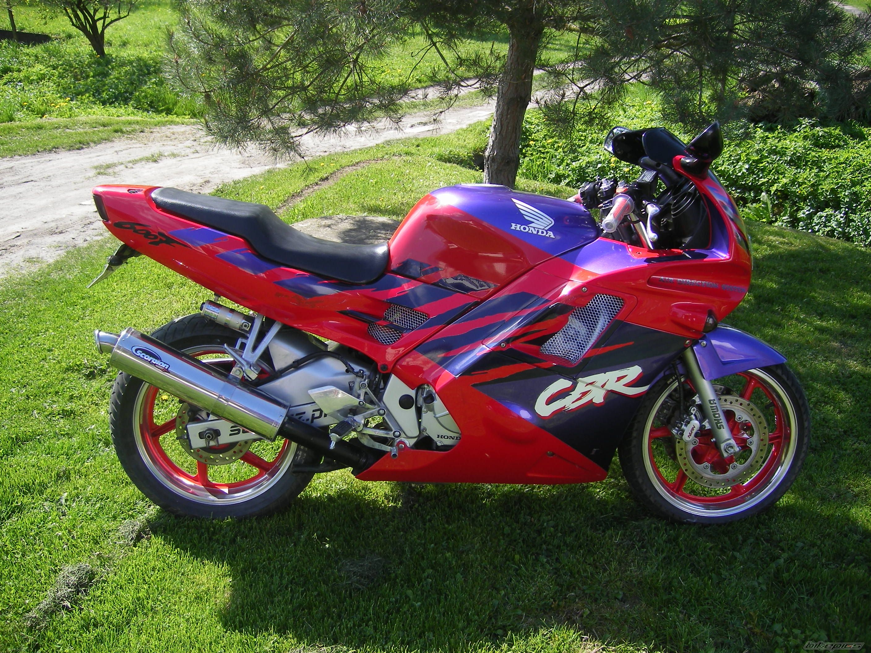 1993 HONDA CBR 600 | Picture 1281095 motorcycle photo