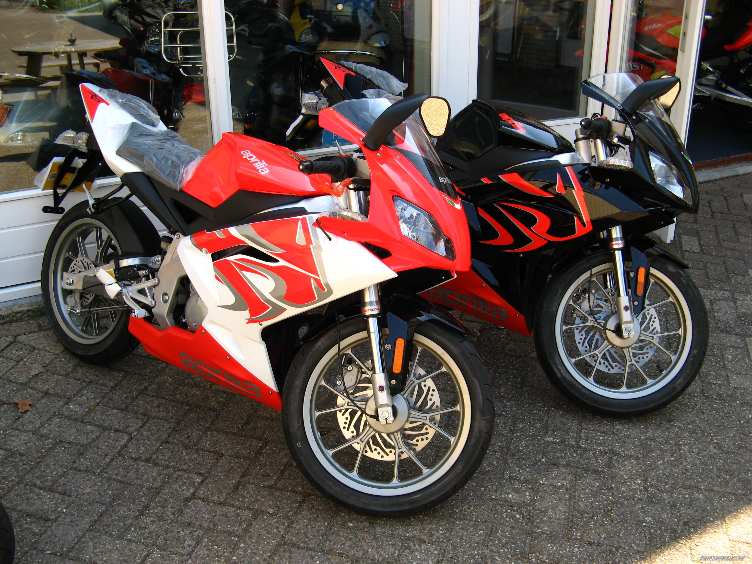 2008 APRILIA RS 50 | Picture 1281154 motorcycle photo