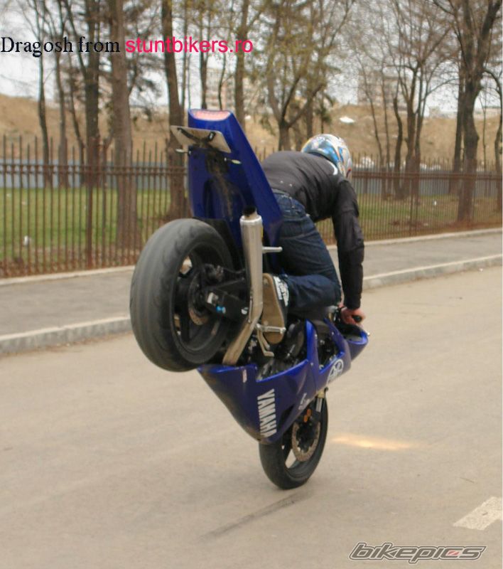 2003 YAMAHA YZF R1 | Picture 1282044 motorcycle photo