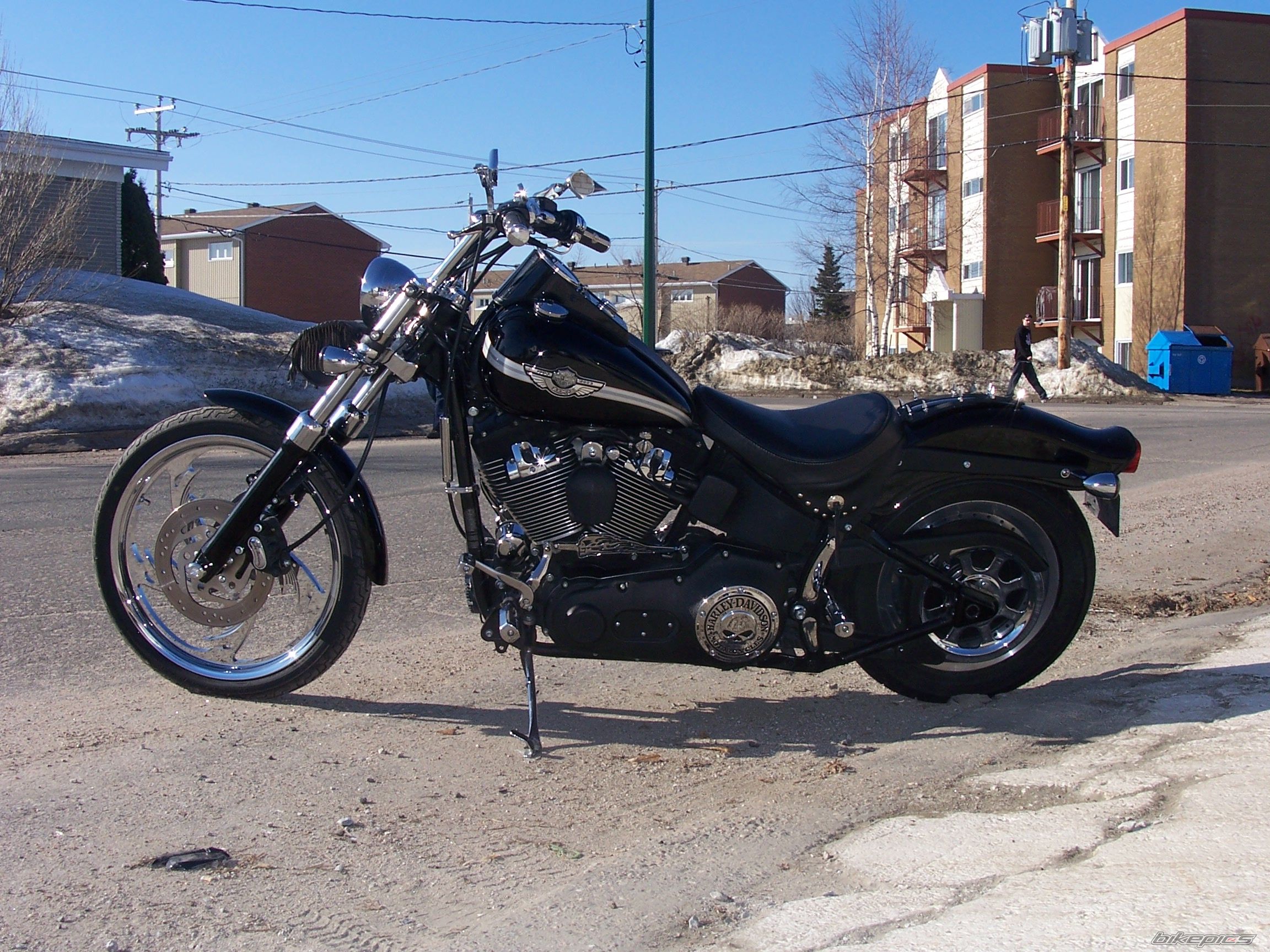 2003 HARLEY DAVIDSON FXSTB | Picture 1282243 motorcycle photo
