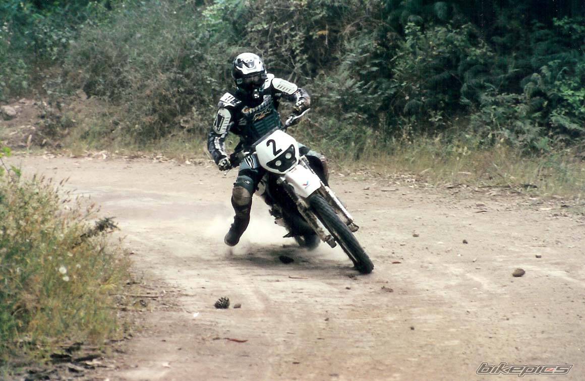 1996 YAMAHA YZ 250 | Picture 128287 motorcycle photo