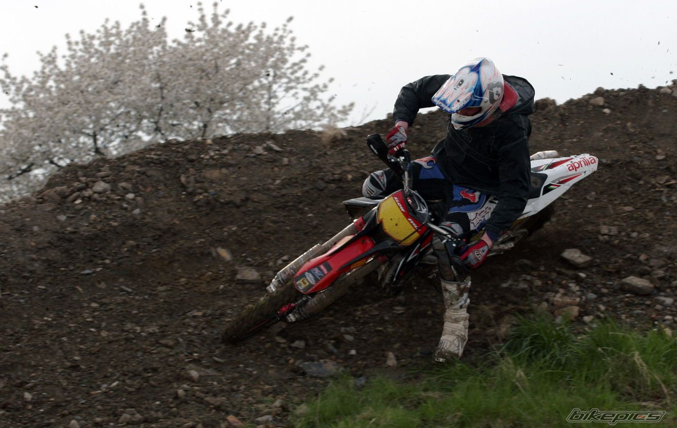 2008 APRILIA RXV 450 | Picture 1283323 motorcycle photo