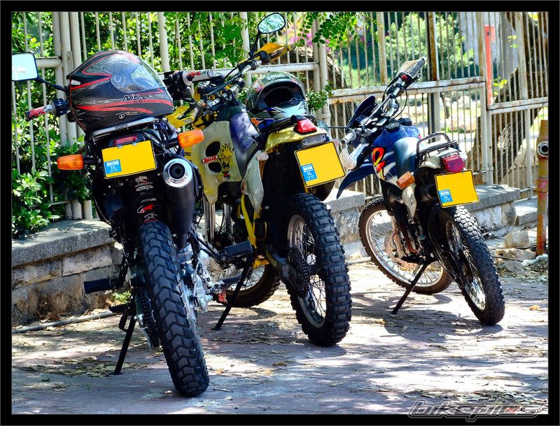 1999 SUZUKI RMX 50 | Picture 1283356 motorcycle photo