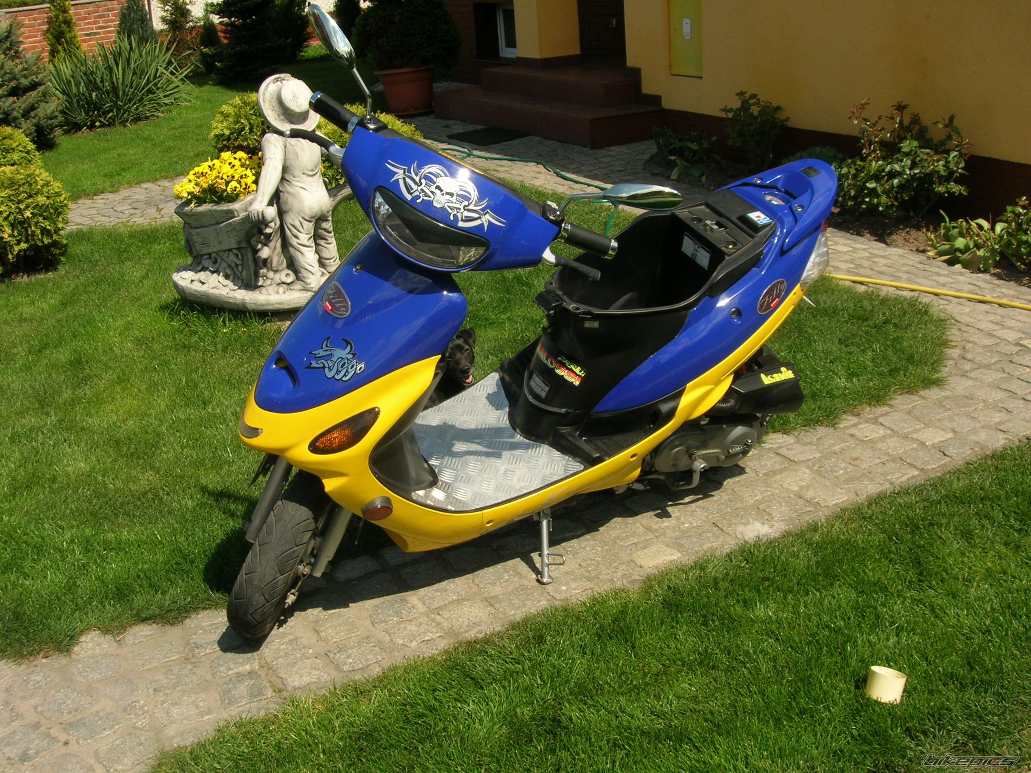 2000 KYMCO FILLY 50 | Picture 1283369 motorcycle photo