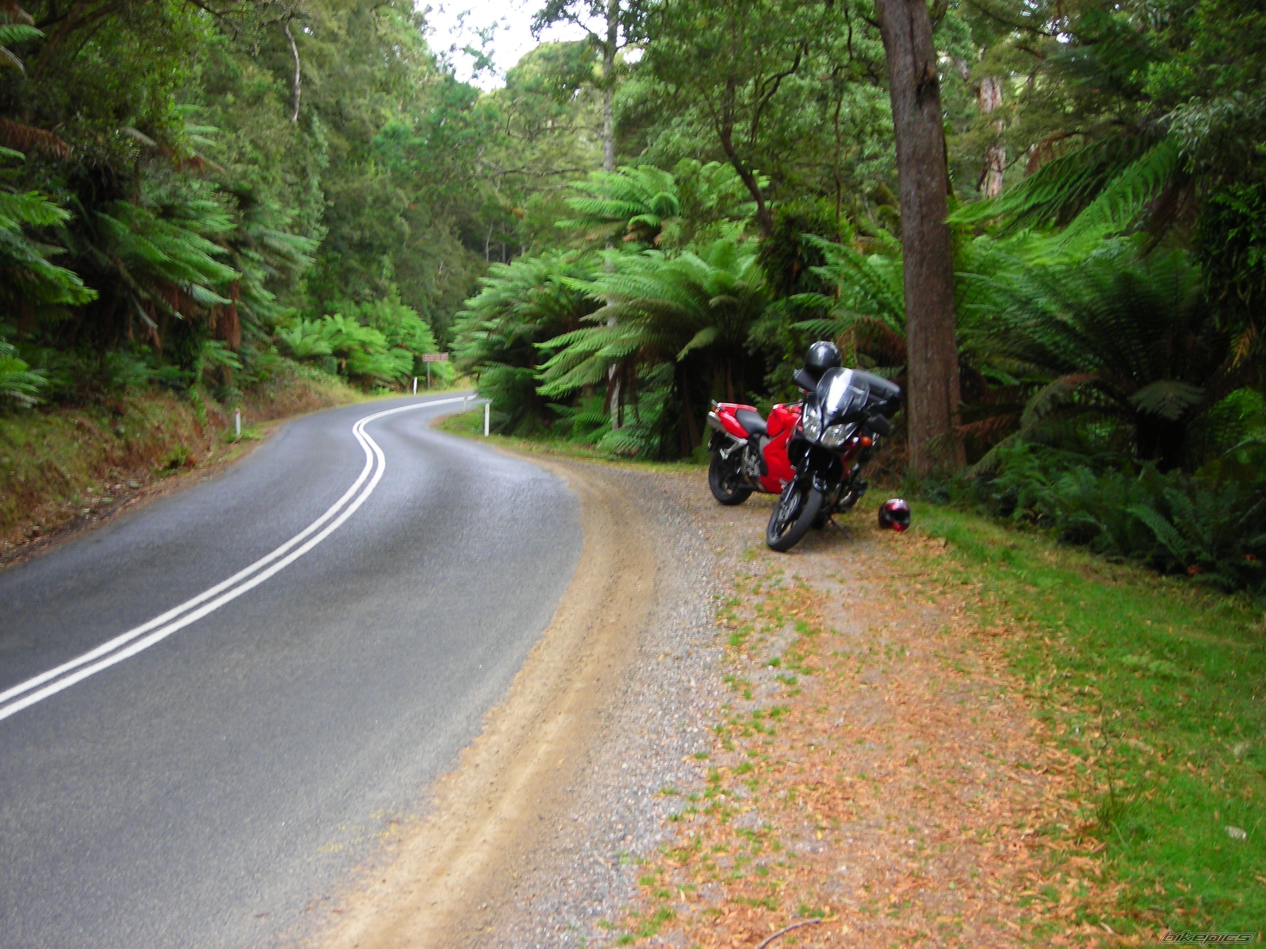    | Picture 1283417 motorcycle photo