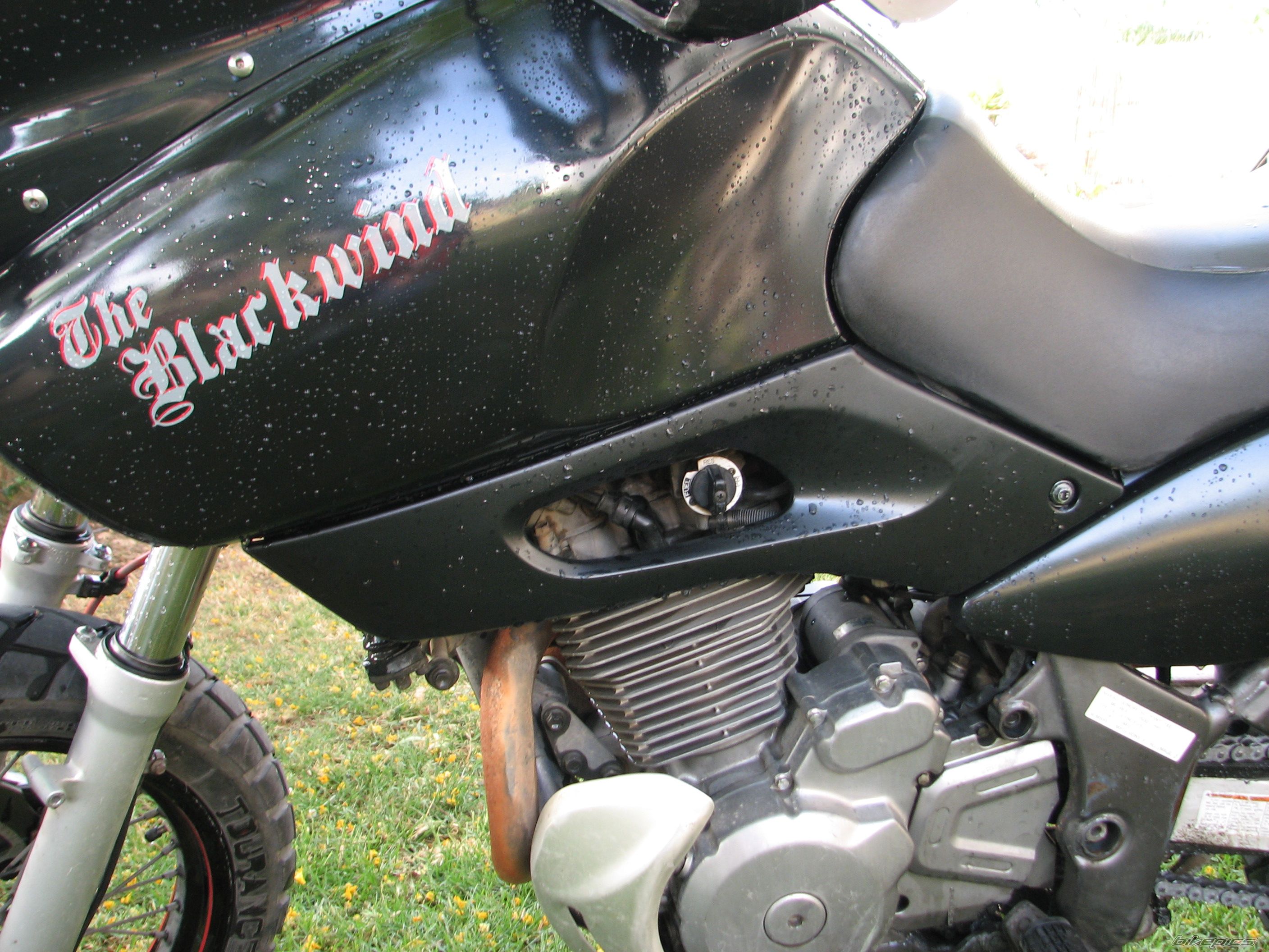 1998 SUZUKI XF 650 | Picture 1283578 motorcycle photo