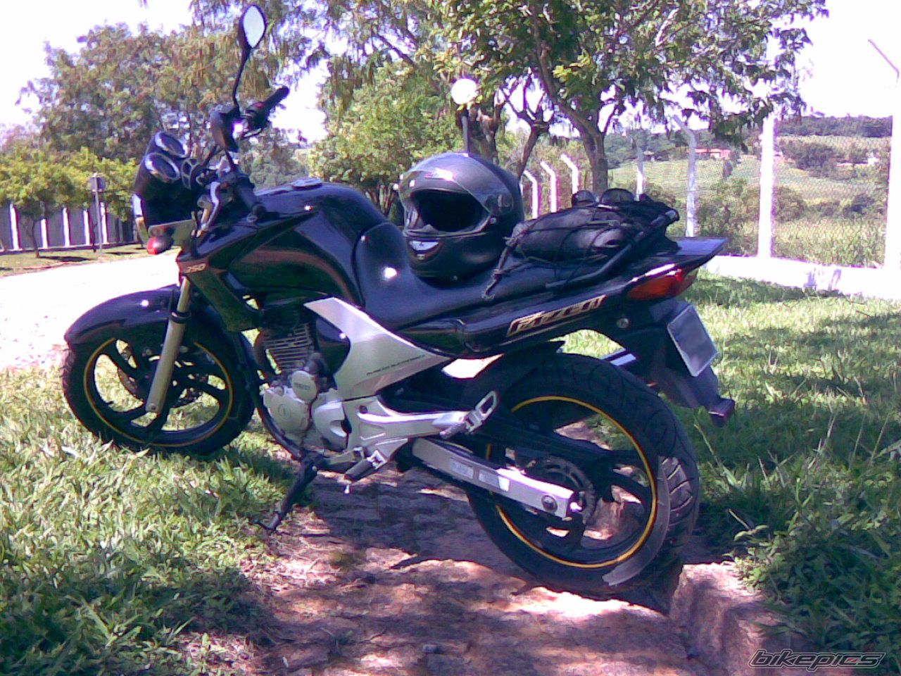 2006 YAMAHA YS 250 FAZER | Picture 1283658 motorcycle photo