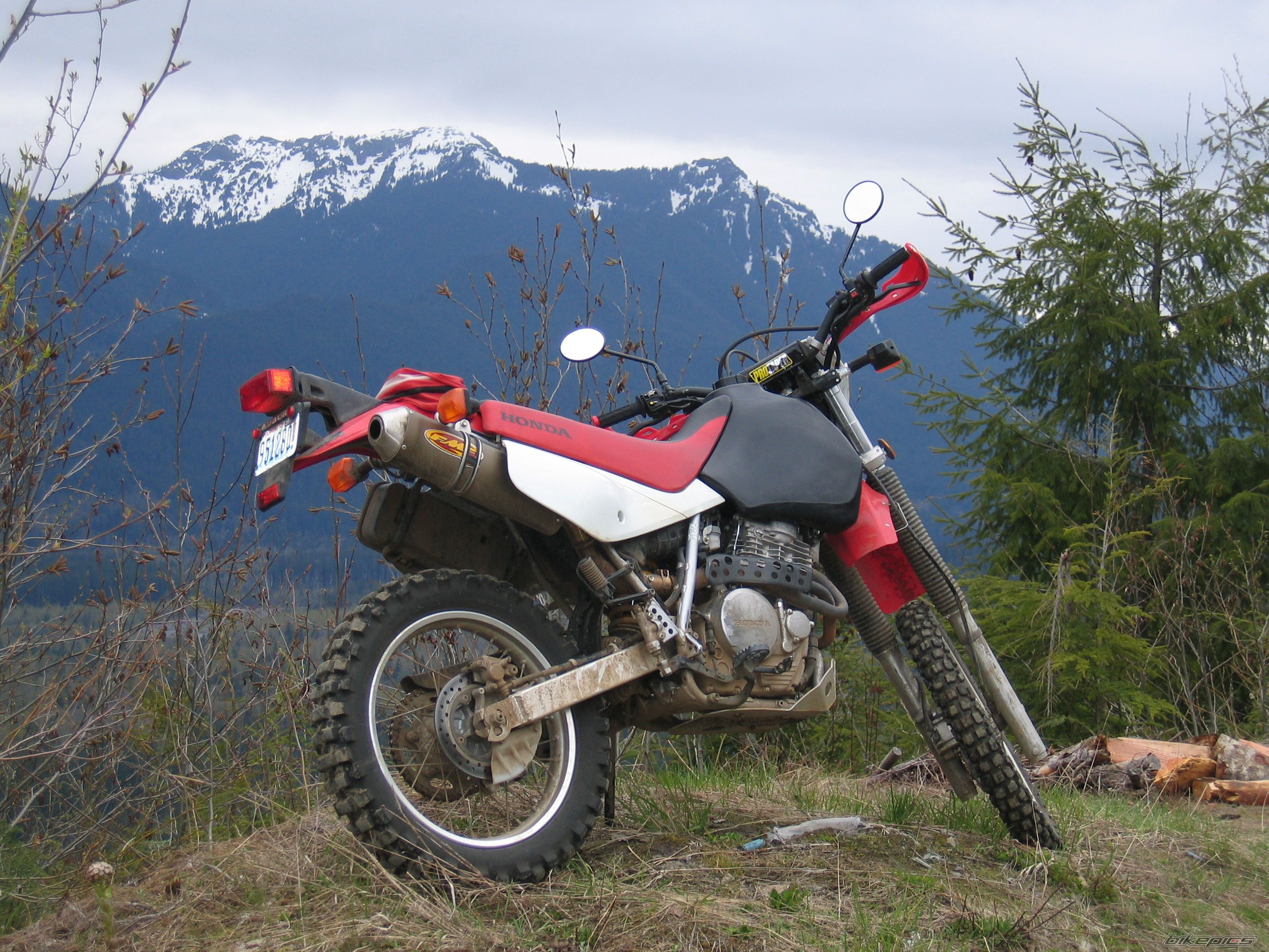 2008 HONDA XR 650 | Picture 1283709 motorcycle photo