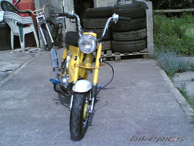 1974 HONDA CHALY | Picture 1283773 motorcycle photo