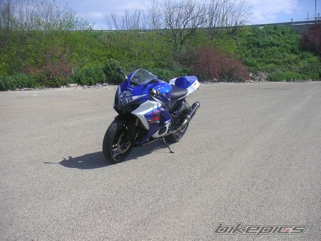 2008 SUZUKI GSX R 1000 | Picture 1283807 motorcycle photo