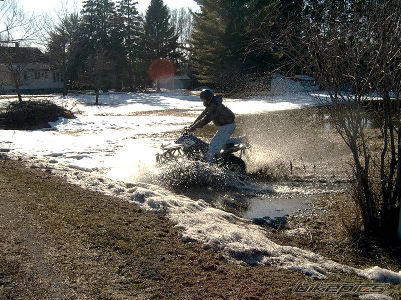 1987 YAMAHA WARRIOR | Picture 128414 motorcycle photo