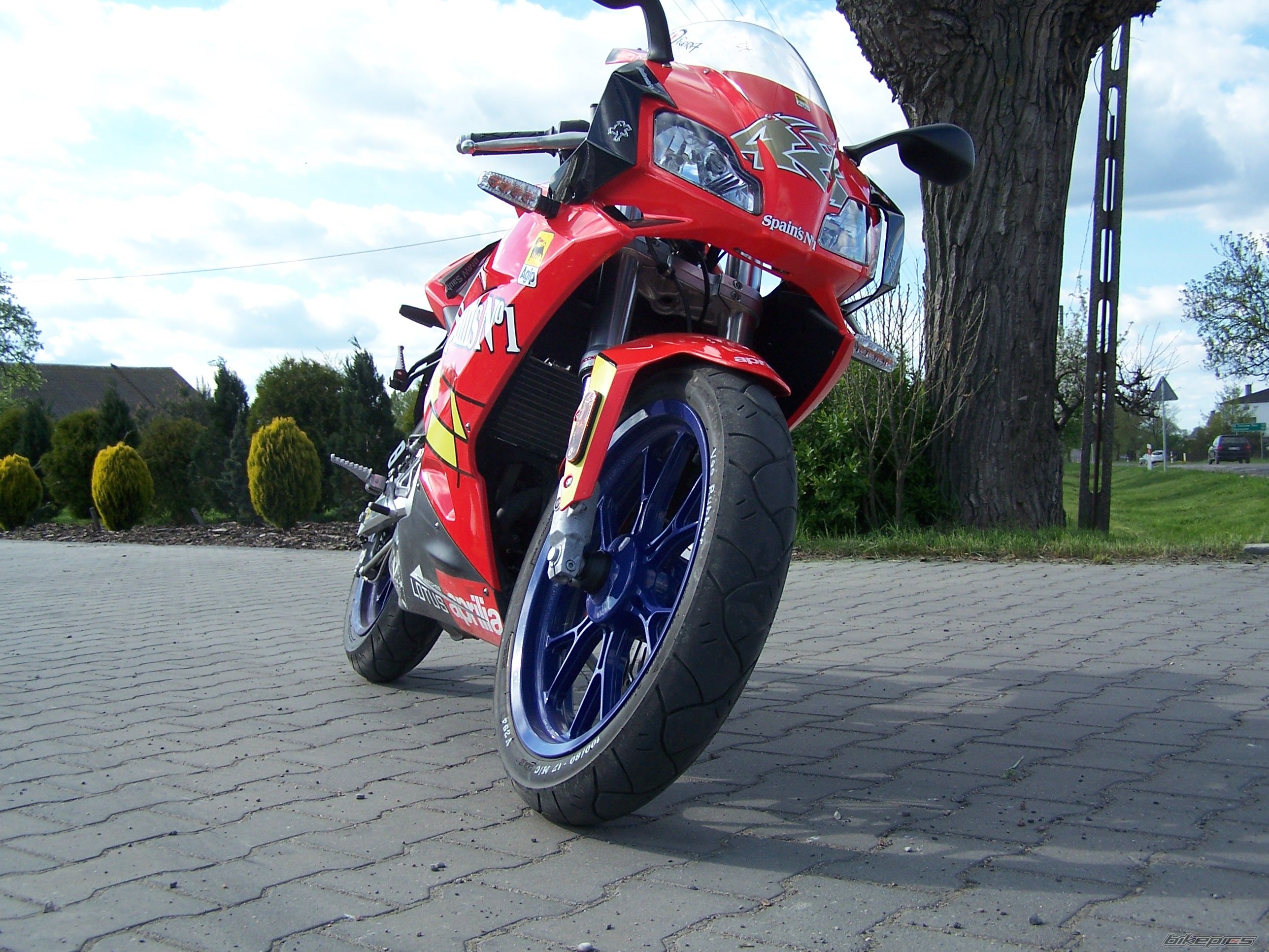 2007 APRILIA RS 50 | Picture 1284485 motorcycle photo
