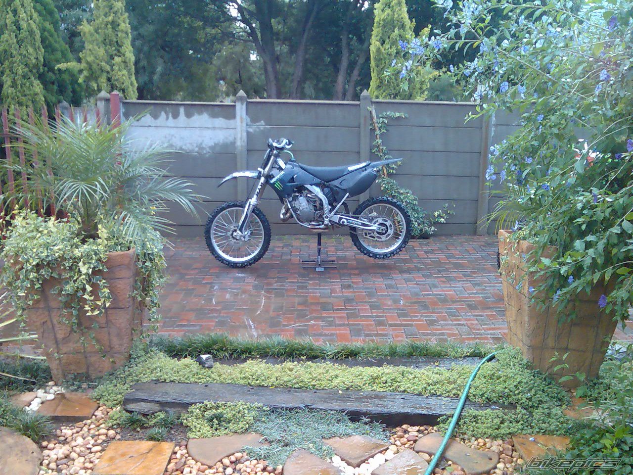 2008 KAWASAKI KX 125 | Picture 1284489 motorcycle photo