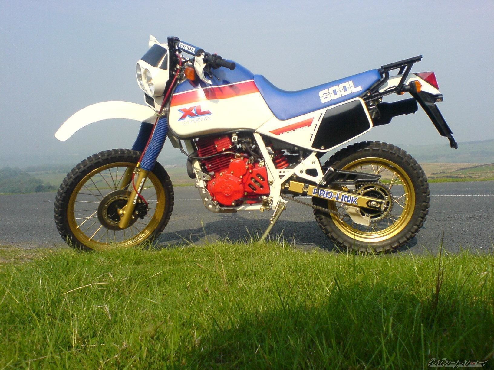 1985 HONDA XL 600 | Picture 1284503 motorcycle photo