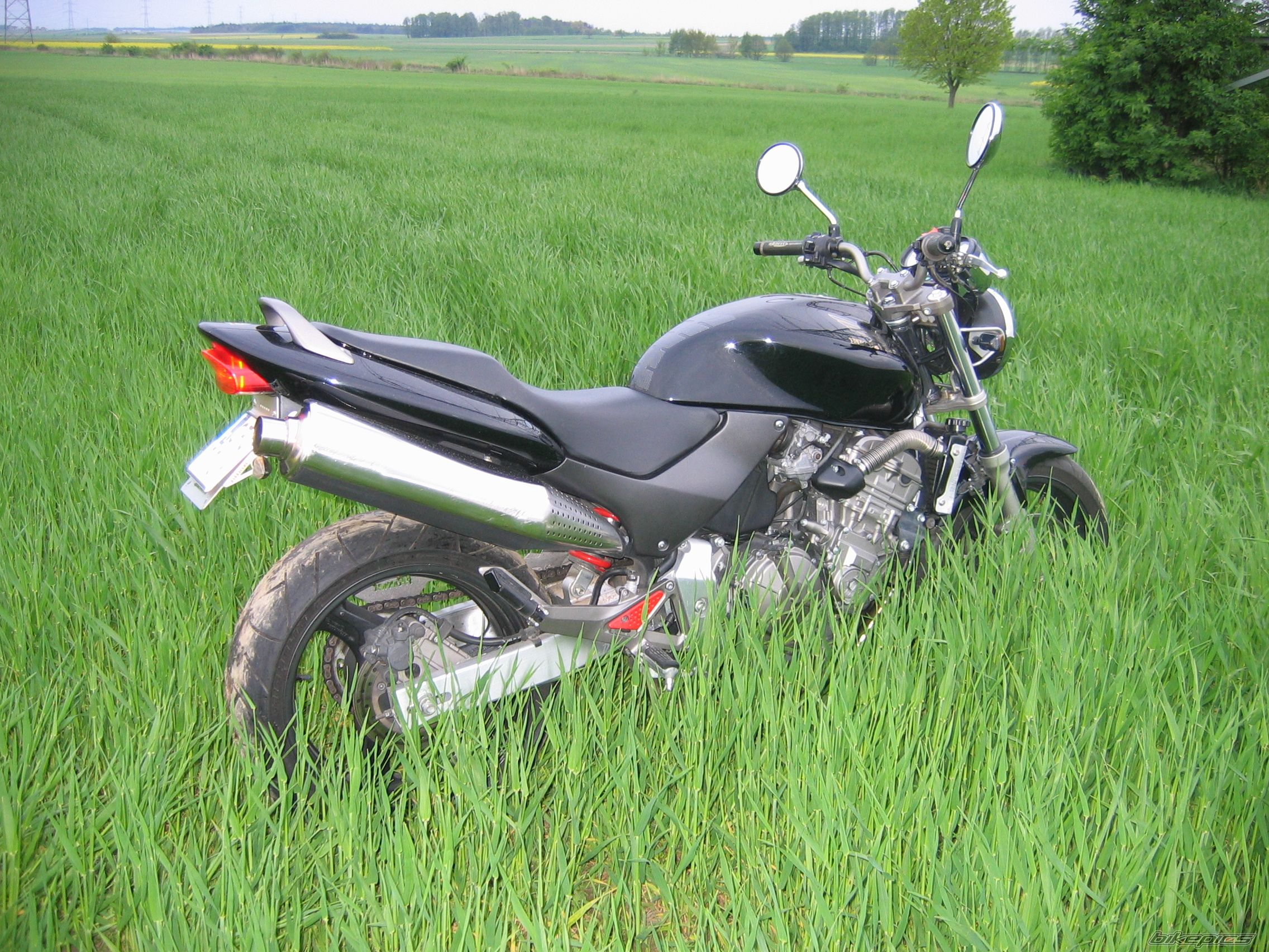    | Picture 1284923 motorcycle photo