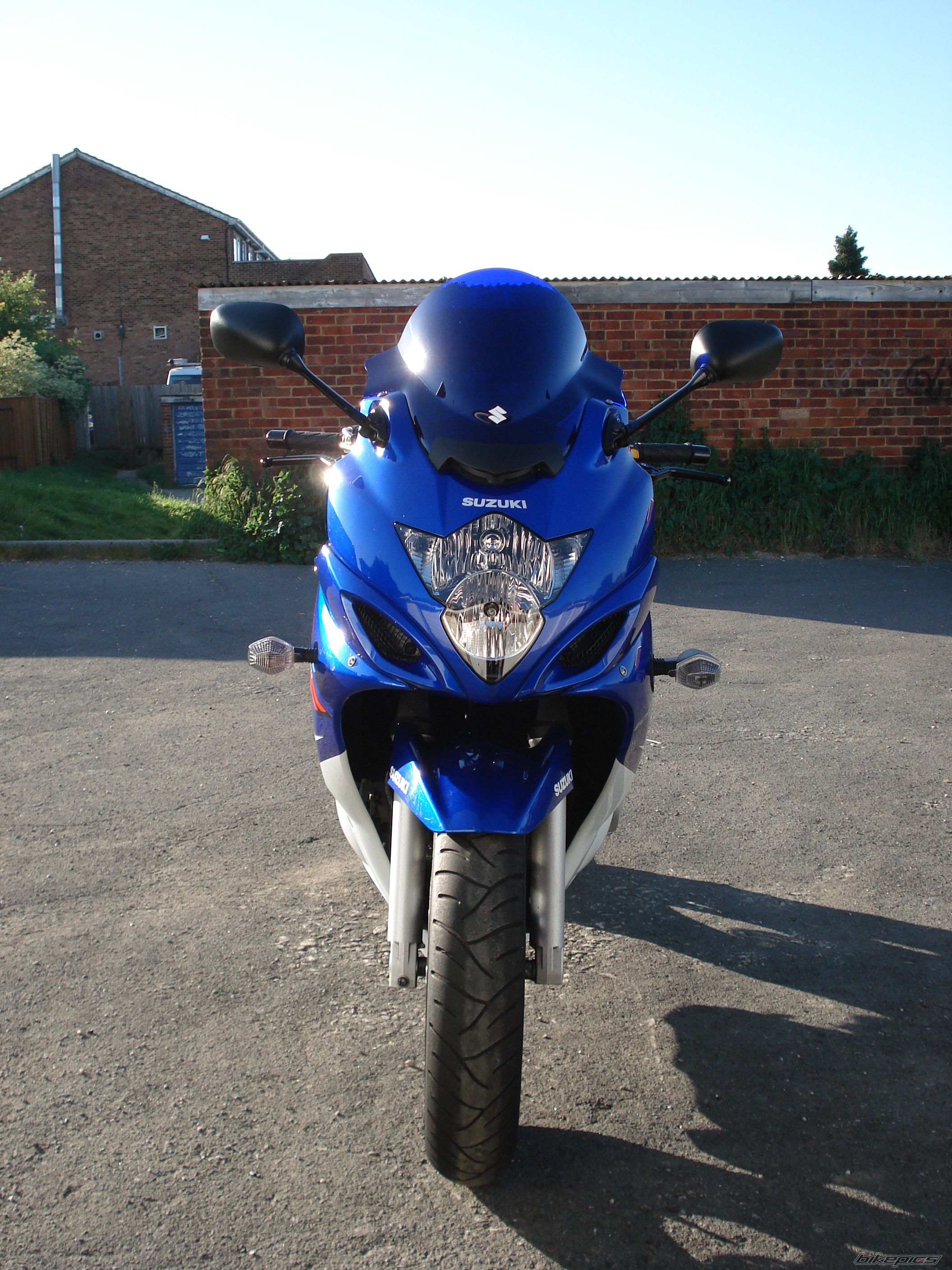 2008 SUZUKI BANDIT 650 | Picture 1285050 motorcycle photo