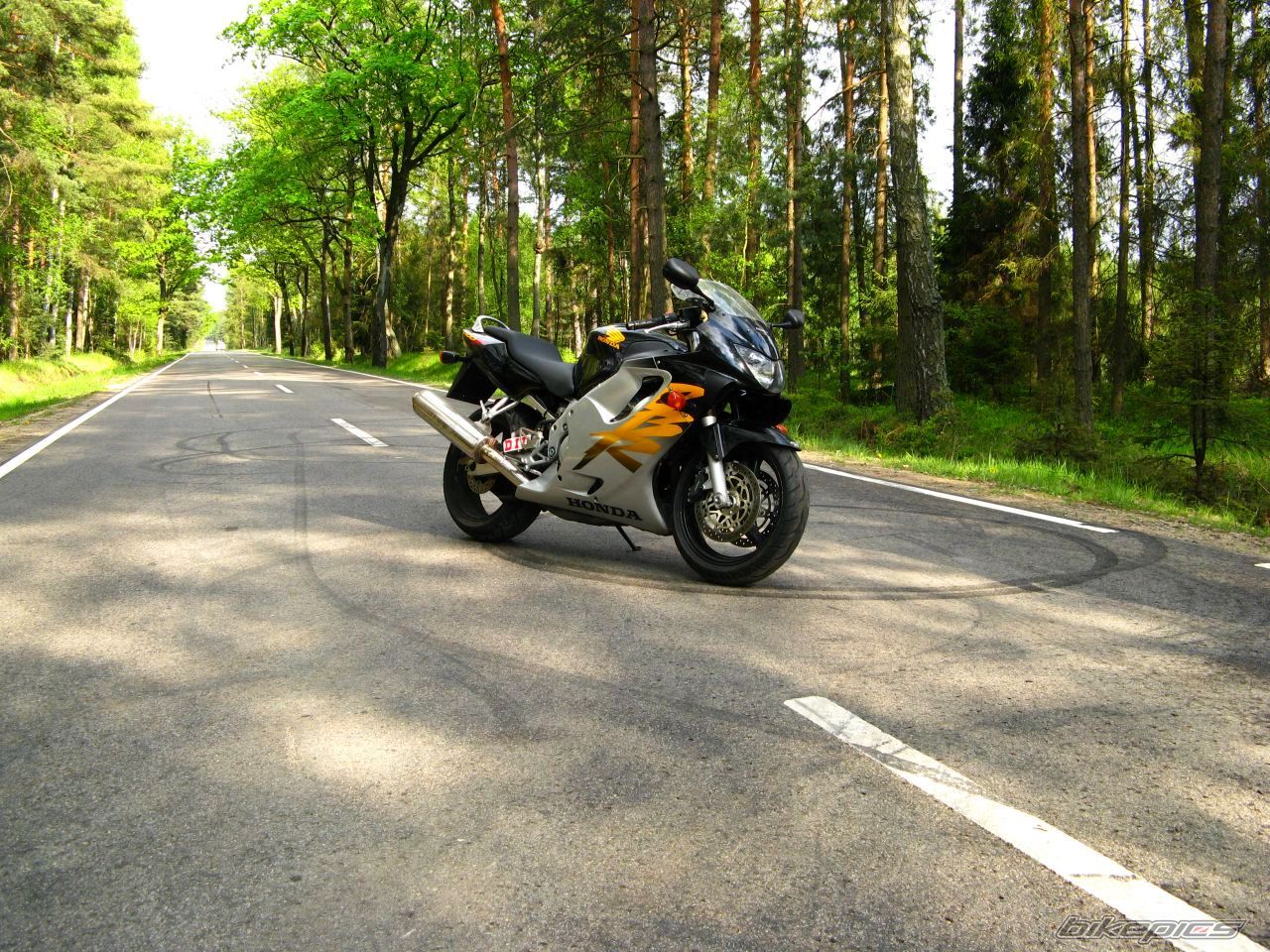 1999 HONDA CBR 600 | Picture 1285197 motorcycle photo
