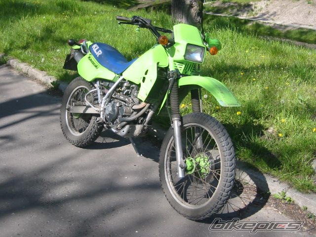 1986 KAWASAKI KLR 250 | Picture 1285466 motorcycle photo