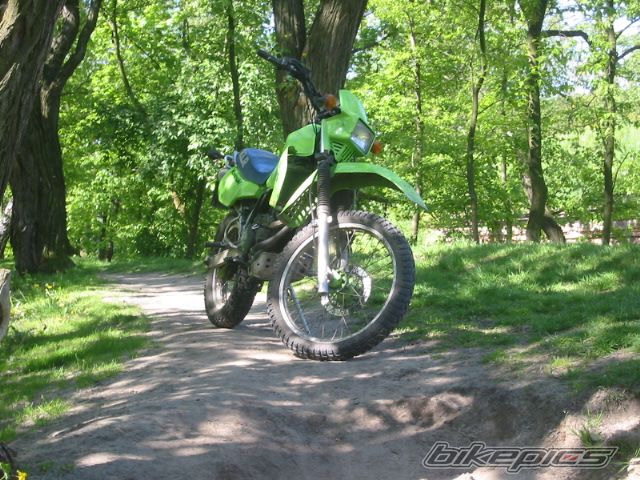 1986 KAWASAKI KLR 250 | Picture 1285467 motorcycle photo