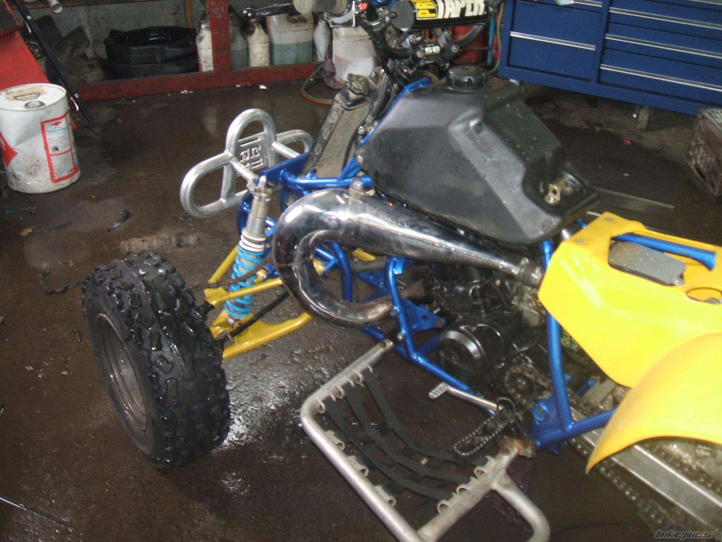 1987 SUZUKI QUADRACER 250 | Picture 1285531 motorcycle photo
