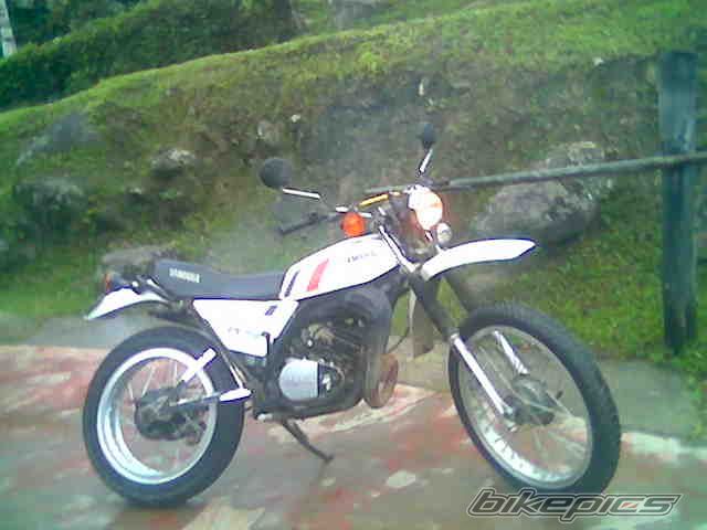 1980 YAMAHA DT 175 | Picture 1286304 motorcycle photo